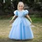 Preview: Cinderella Traumkleid - bauschig und wunderschön blau