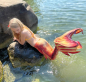 Preview: Meerjungfrauenflossen Set Sirena Premium GOLDEN DREAM H2O