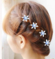 Preview: Haarschmuck, Haarpin, Curlies - Kristallsterne, Strass